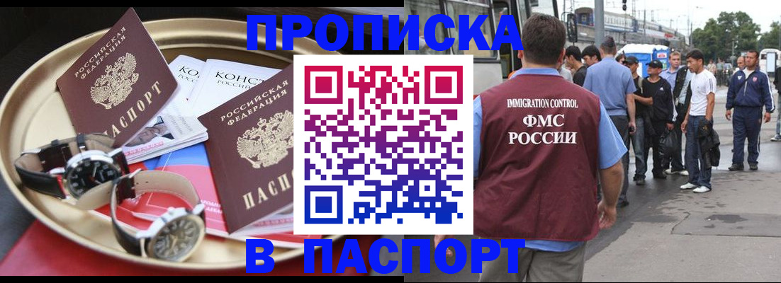 где прописаться в Ельне